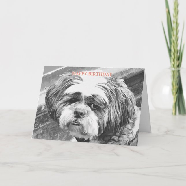SHIH TZU DOG    CARD (Front)