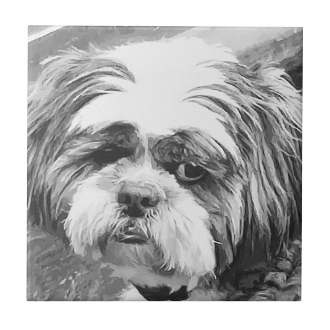SHIH TZU DOG  CERAMIC TILE (Front)