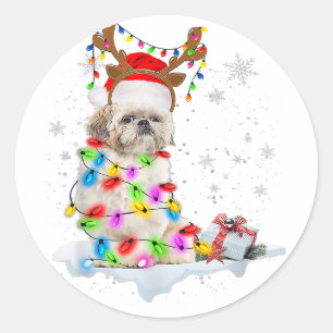 Shih Tzu Dog Christmas   Reindeer Christmas Lights Classic Round Sticker