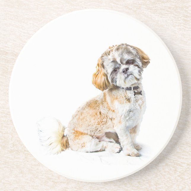 Shih Tzu Dog Coaster (Front)