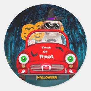 Shih Tzu Dog Driving Car Scary Halloween Classic Round Sticker