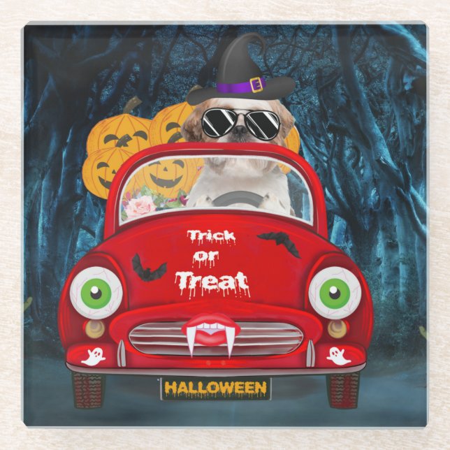 Shih Tzu Dog Driving Car Scary Halloween  Glass Coaster (Front)