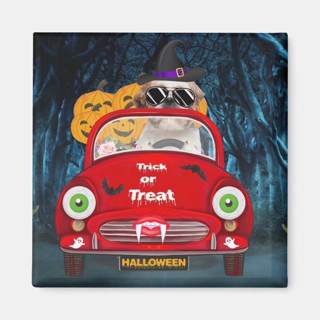 Shih Tzu Dog Driving Car Scary Halloween  Magnet (Front)