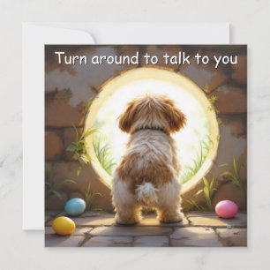 Shih Tzu dog - Easter Holiday Card