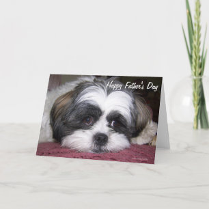 Shih Tzu Dog Father's Day Card