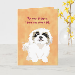Shih Tzu Dog Funny Birthday for Dog Owner Lover Card