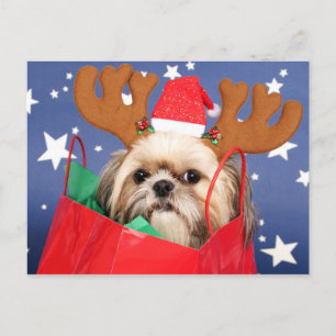 Shih Tzu dog in a red shopping bag Postcard