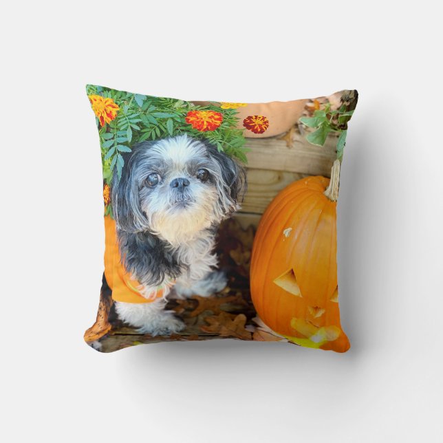 Shih Tzu Dog Large Accent Pillow (Front)