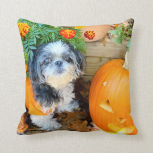 Shih Tzu Dog Large Accent Pillow