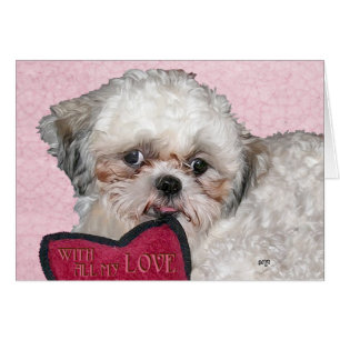 Shih Tzu Dog Loves You