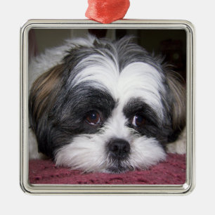 Shih Tzu Dog Metal Tree Decoration