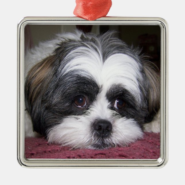 Shih Tzu Dog Metal Tree Decoration (Front)
