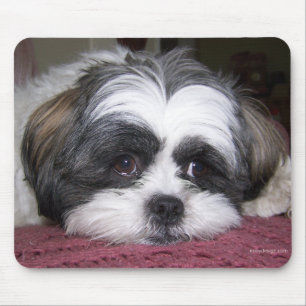 Shih Tzu Dog Mouse Pad