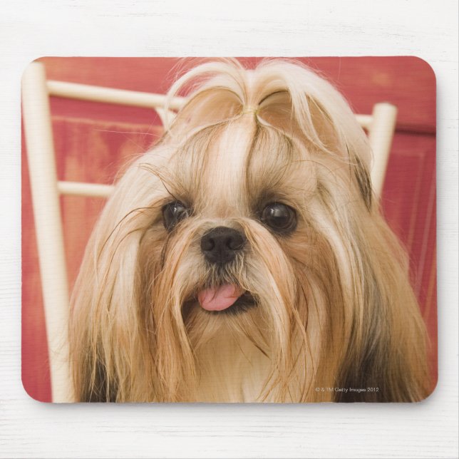 Shih-tzu dog mouse pad (Front)