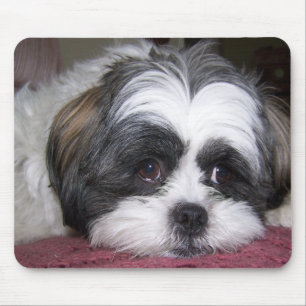 Shih Tzu Dog Mouse Pad