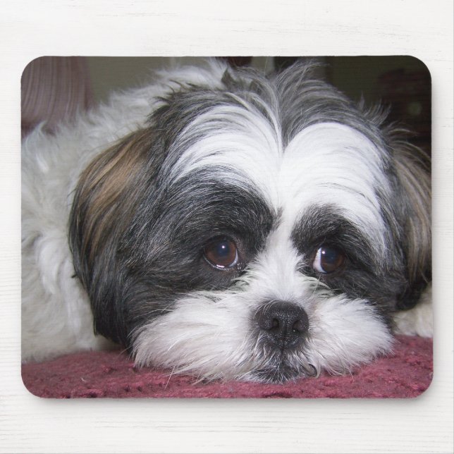 Shih Tzu Dog Mouse Pad (Front)