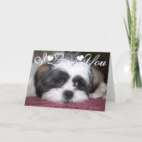 Shih Tzu Dog Photo Image I Love You