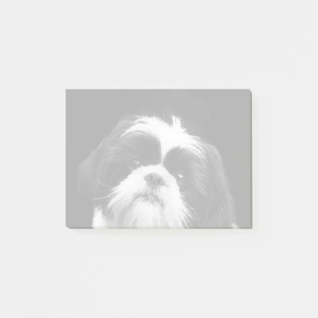 Shih Tzu dog post it notes (Front)