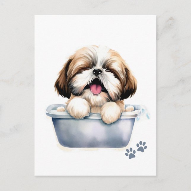 Shih Tzu Dog Postcard (Front)