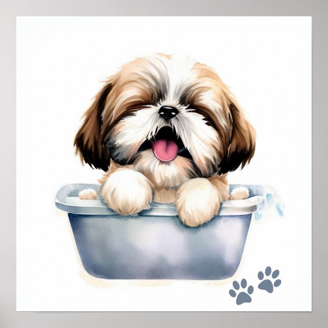 Shih Tzu Dog Poster (Front)