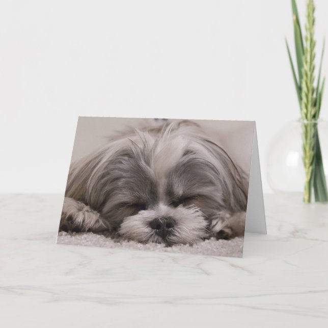 Shih Tzu Dog Sleeping Card (Front)