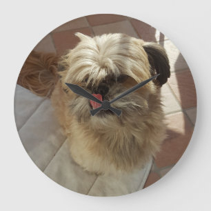 Shih Tzu dog wall clock