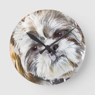 Shih Tzu Dog Wall Clock