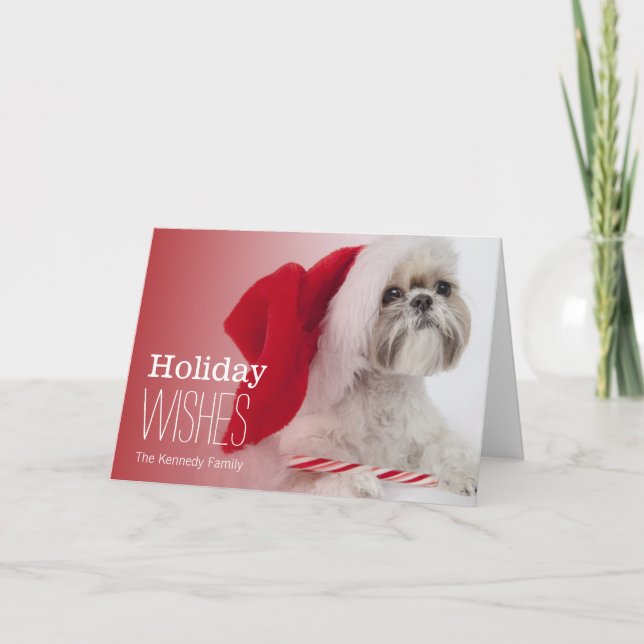 Shih Tzu dog wearing a Santa Claus hat Holiday Card (Front)