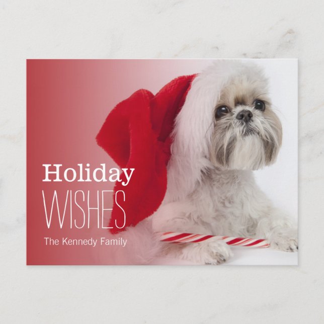 Shih Tzu dog wearing a Santa Claus hat Holiday Postcard (Front)