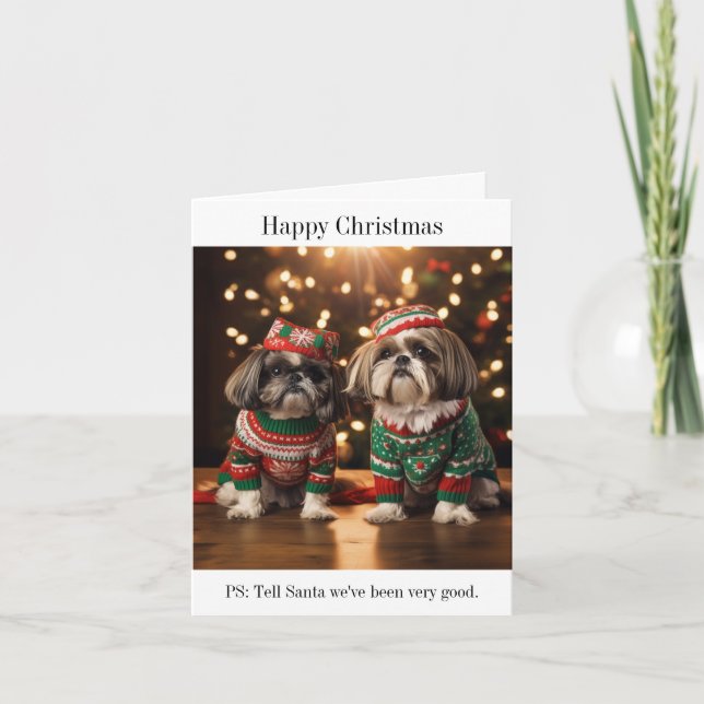 Shih Tzu Dogs Christmas Card (Front)