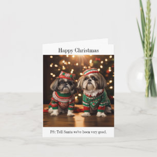 Shih Tzu Dogs Christmas Card