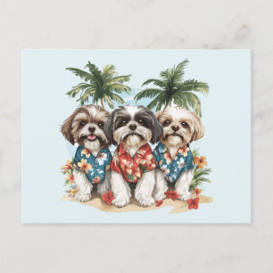 Shih Tzu Dogs Wearing Hawaiian Shirts Postcard