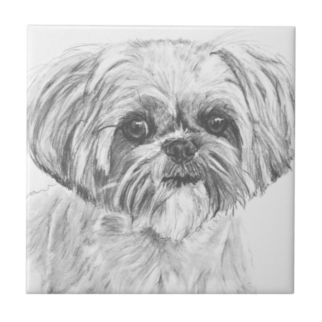 Shih Tzu Drawing Ceramic Tile (Front)