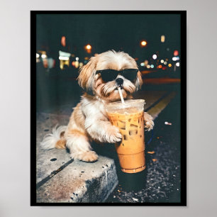 Shih tzu drinking iced coffee funny pet lifestyle poster
