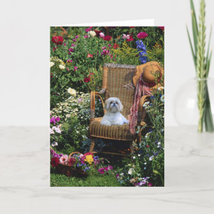Shih Tzu Garden Card