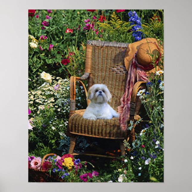 Shih Tzu Garden Poster (Front)