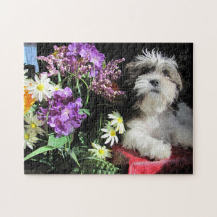 SHIH TZU!... gazuntite. Jigsaw Puzzle