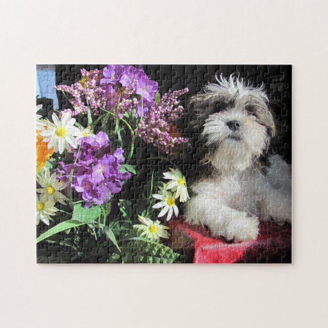 SHIH TZU!... gazuntite. Jigsaw Puzzle (Horizontal)
