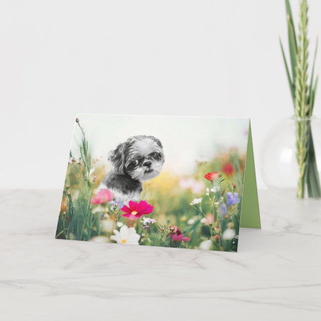 Shih Tzu Girl and Flower Field Greeting Card (Front)