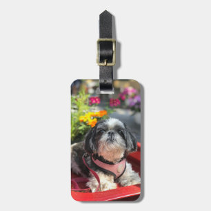 Shih Tzu Girl  Luggage Tag
