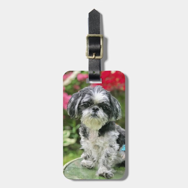 Shih Tzu Girl  Luggage Tag (Front Vertical)