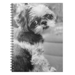 Shih Tzu Girl Notebook