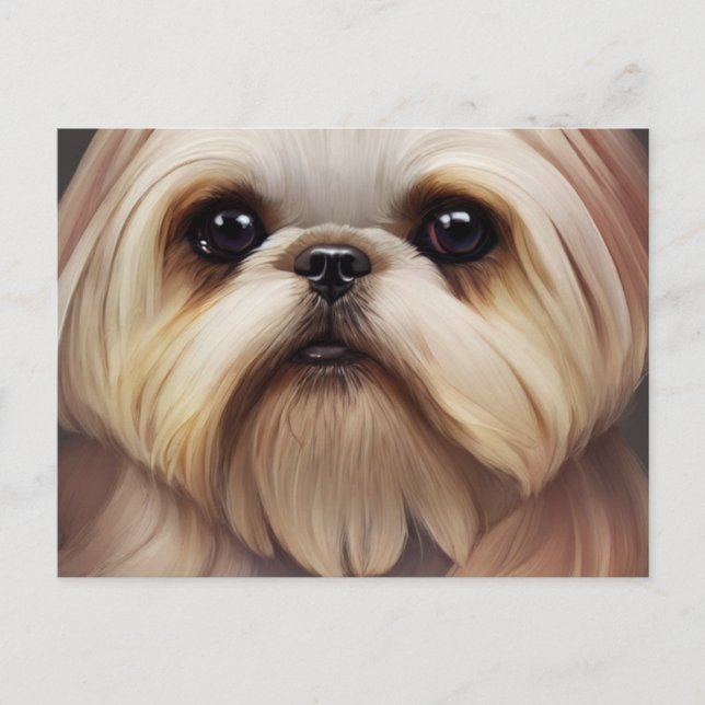 Shih Tzu Greetings Postcard (Front)