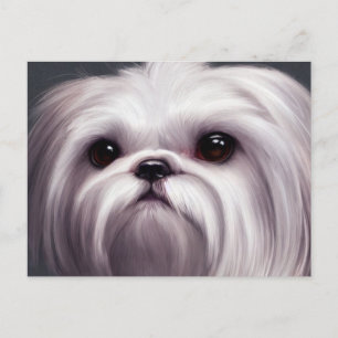 Shih Tzu Greetings Postcard
