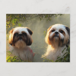 Shih Tzu Greetings Postcard