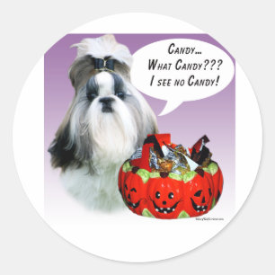 Shih Tzu (groomed) Halloween Candy Classic Round Sticker