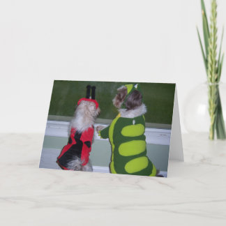 Shih Tzu Halloween Costume Greeting Card