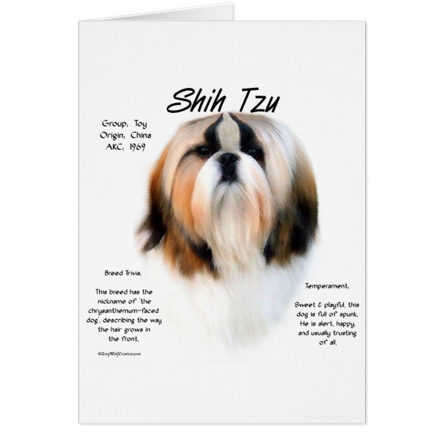 Shih Tzu History Design (Front)