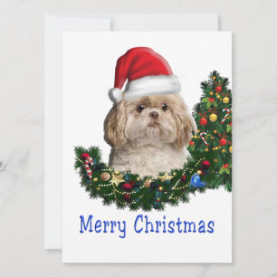 shih tzu holiday card