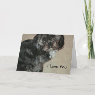 Shih Tzu I Love You Cards